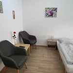 U Hradeb Pensjonat