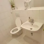 U Hradeb Pensjonat 3*