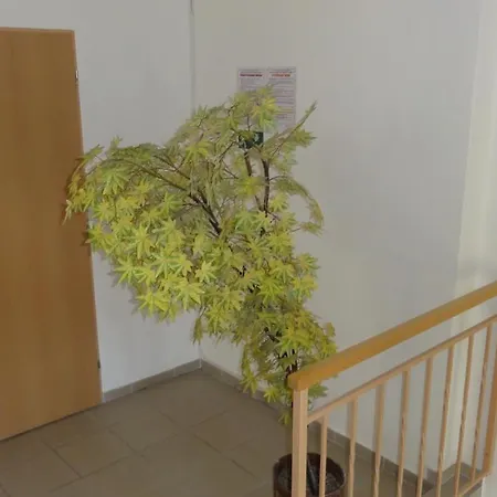 Penzion U Hradeb Znojmo