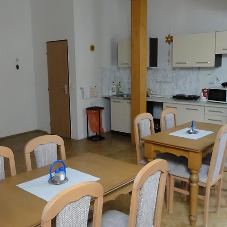 U Hradeb Guest house *