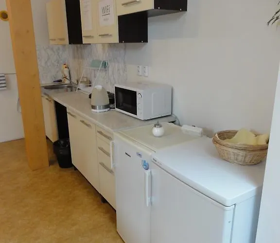 Pensionat U Hradeb 3*